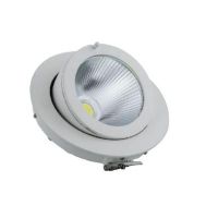 MY7351 LED Down light-Adjustable-COB 20W